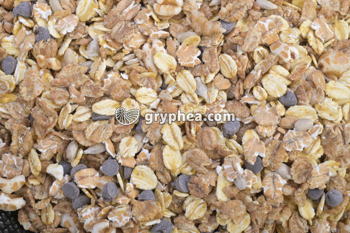 Céréales au chocolat - gryphea.org